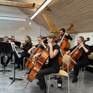 Sprungbrett für den Orchesternachwuchs